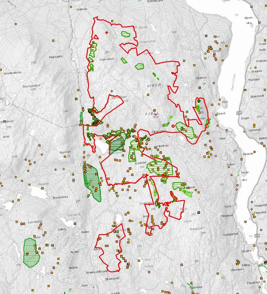 På bakgrunn av dette anses Vikerfjell naturreservat som et forholdsvis robust område når det kommer til ferdsel og besøk.