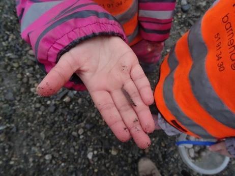 3 åringene fikk male det samiske flagget på gruppen, og 4 åringene fikk fargelegge og klippe ut