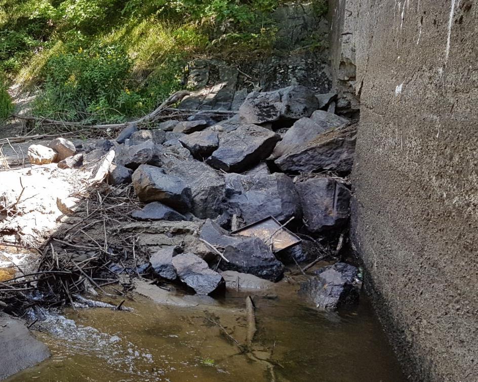 Vi i Arendal Jeger- og fiskeforening har i flere år ønsket å få tilbake sjøørret og laks i Lilleelv i Arendal.