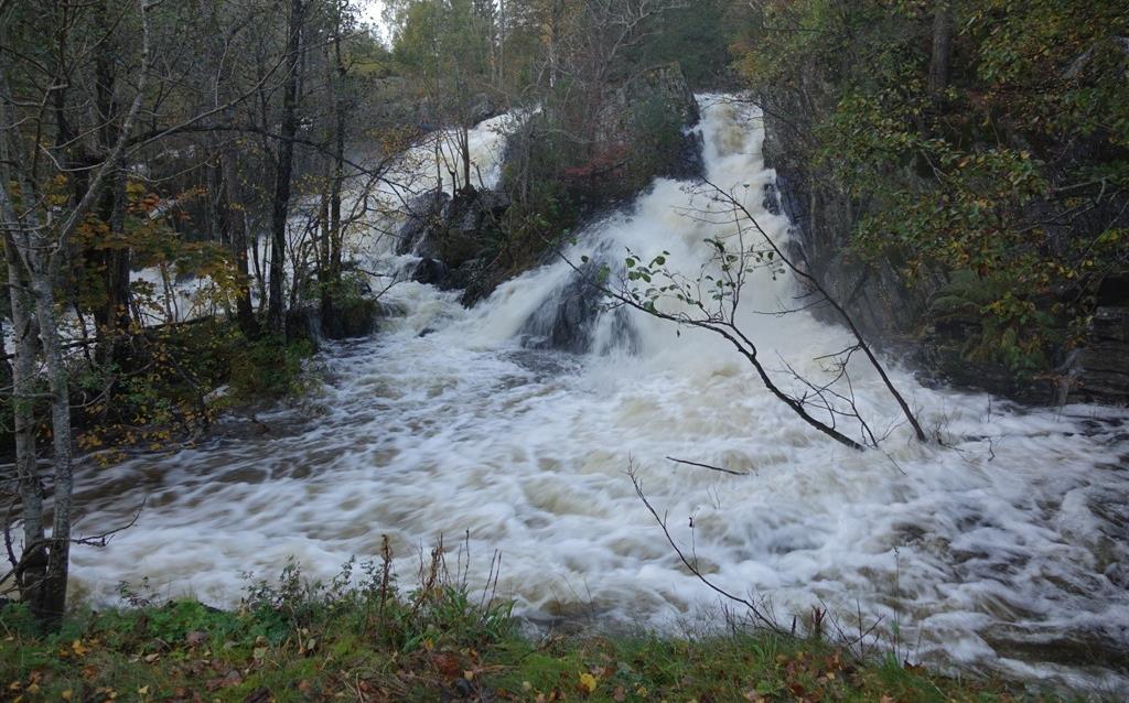 Sirka 2km opp i elva finner man Stampefoss, som utgjør et betydelig vandringshinder.