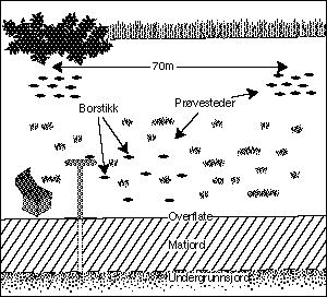 Minst 9 borstikk blandes i en bøtte og tømmes over i prøveesken 2. Etter et rutesystem med ruter på f.eks. 70 x 70 m (ca 5 dekar) eller 50 x 50 m (2,5 dekar).