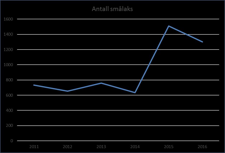 Antall smålaks fanget i Lågen årene 2011-2016.