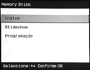 FQ80 B5 Part 6 PT.fm Page 21 Thursday, May 16, 2002 3:10 PM Ver imagens do Memory Stick O Memory Stick é um novo suporte de gravação, cuja capacidade é superior à da disquete.