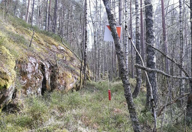 Her går en forholdvis tydelig skogsvei som du følger 4-500m.