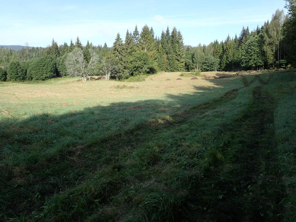 As k e r m a s s e d e p o n i Funnsammendrag Det ble registrert to nyere tids kullmiler, en i skogen og en i dyrka mark, under matjordslaget. Id.nr.