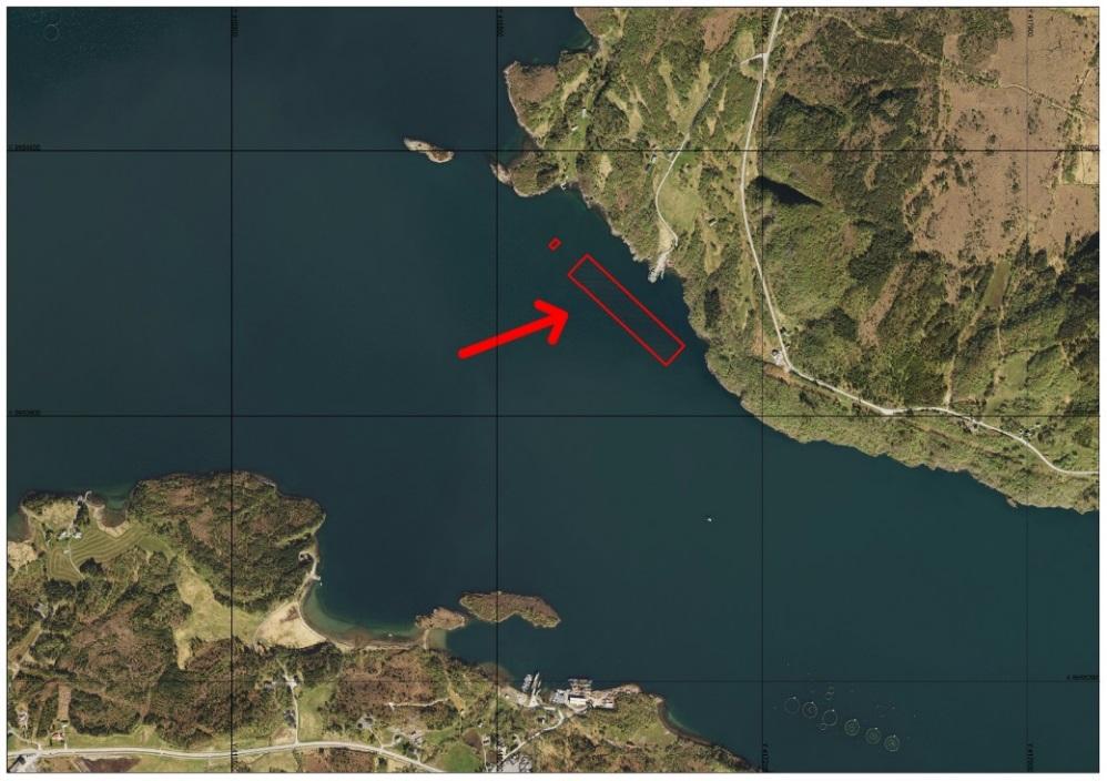 Figur 1 - Omsøkt anlegg på sjøoverflaten m/flybilde fra 2016 i bakgrunnen Det søkes om en MTB (maksimalt tillat biomasse) på 780 tonn.