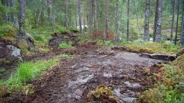 3 VEDLEGG Bilete teke frå plan- og