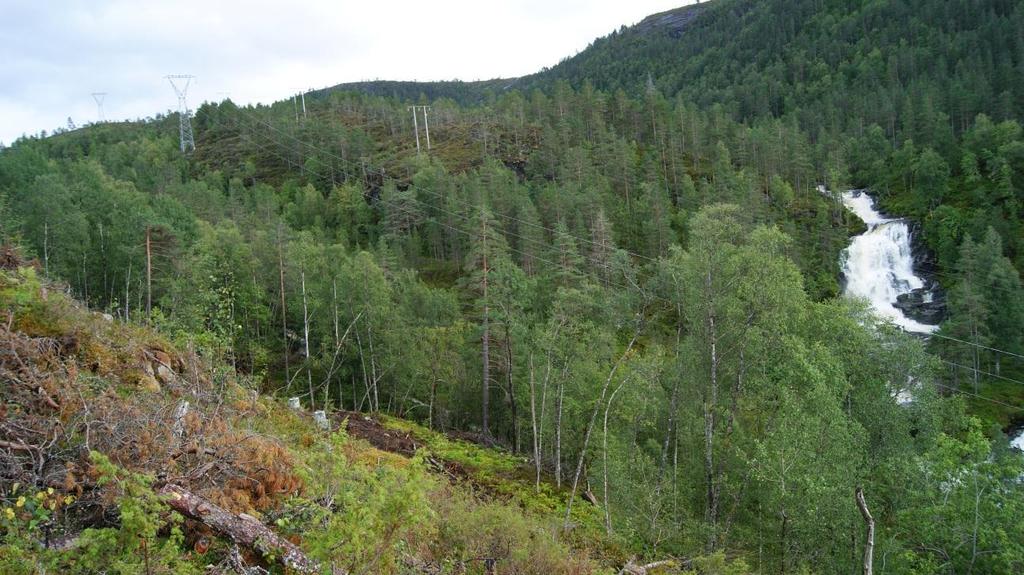 Langedalsfossen.