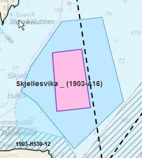 Overlapp med mindre gyteområde for torsk i Elvekroken, og nært oppvekstområde for yngel mellom Grytøy og Sandsøy.