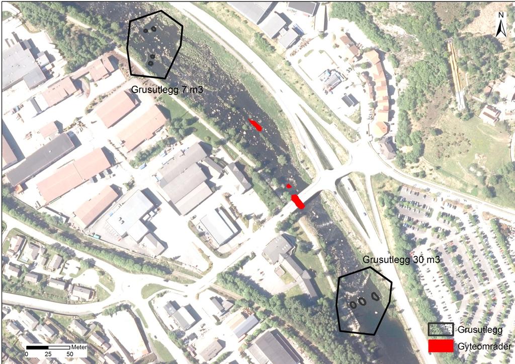 Ved Kongeparken Det foreslås å legge ut totalt 37 m 3 i tiltaksområdet (Fig. 4).