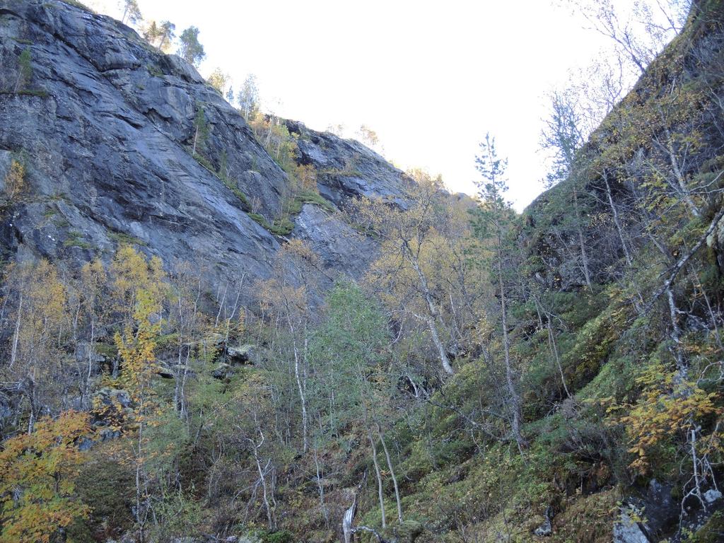 Foto 18: Antatt svakhetssone I. Tatt mot sør nederst i ravinen. Ravinebunnen er fylt med ur.