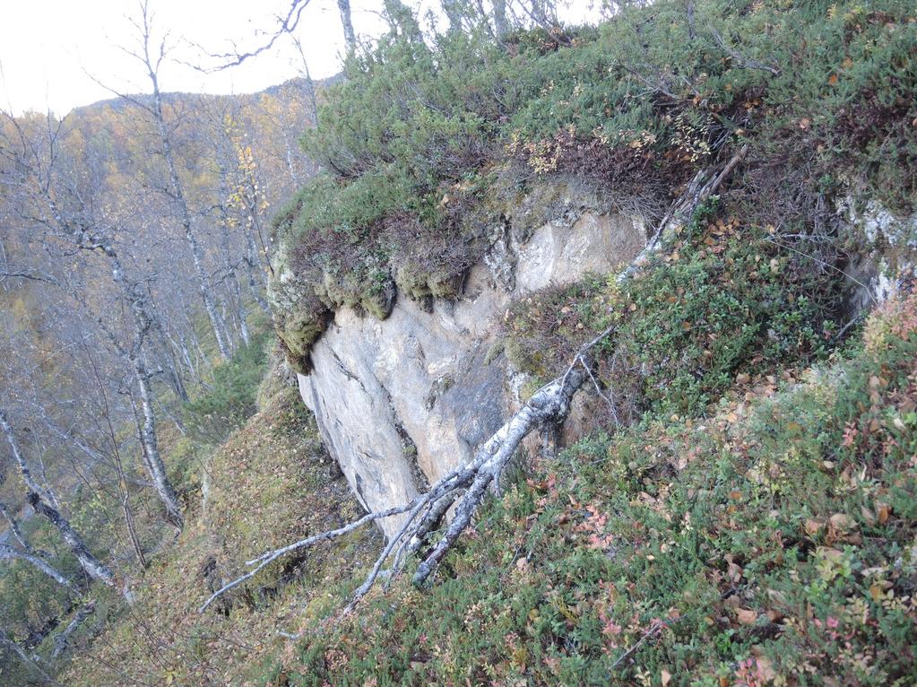 Foto 19[PN_1956]: Tatt mot øst. Bergblotning ved ravine ved pel 25560. Bergarten er kalkspatmarmor/kalkglimmerskifer.