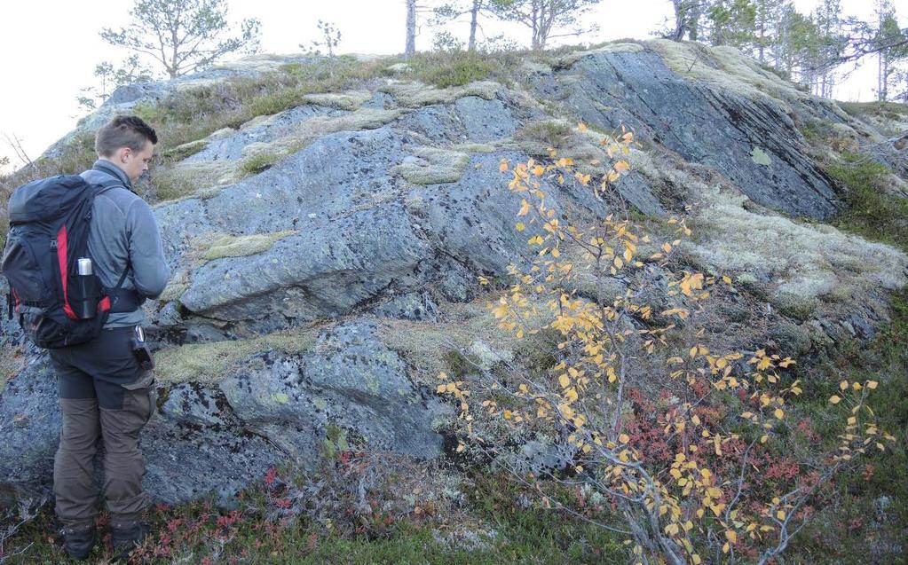 Foto 20[PN_1963]: Tatt mot øst. Bergblotning øst for ravine ved ~pel 25600. Bergarten er granatglimmerskifer som er foliert, men ikke så oppsprukken langs foliasjonsplanet.