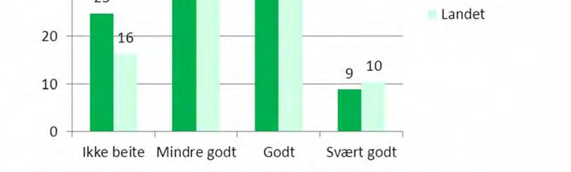 Beitekvalitet i