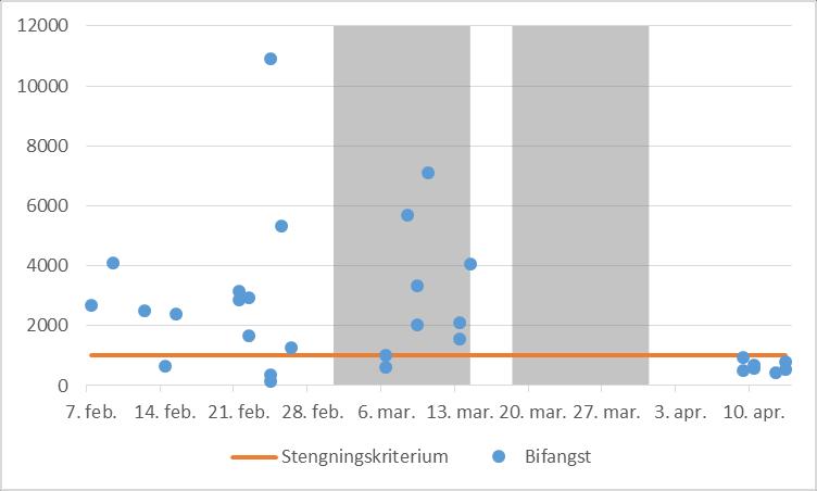 Figur 2 viser tilsvarende tall for 216. I begge årene ble det tatt mye bifangst i og rundt mars.