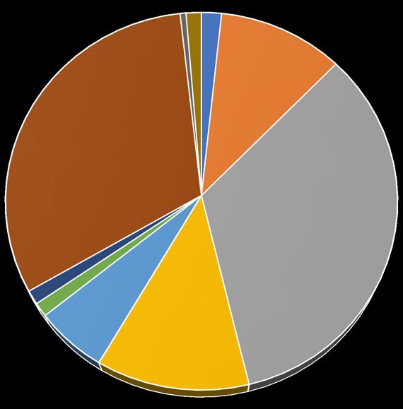 Personbiler segmentfordelt januar-juli Sportsbiler; 0,5 Andre; 1,3 Minibiler; 1,7