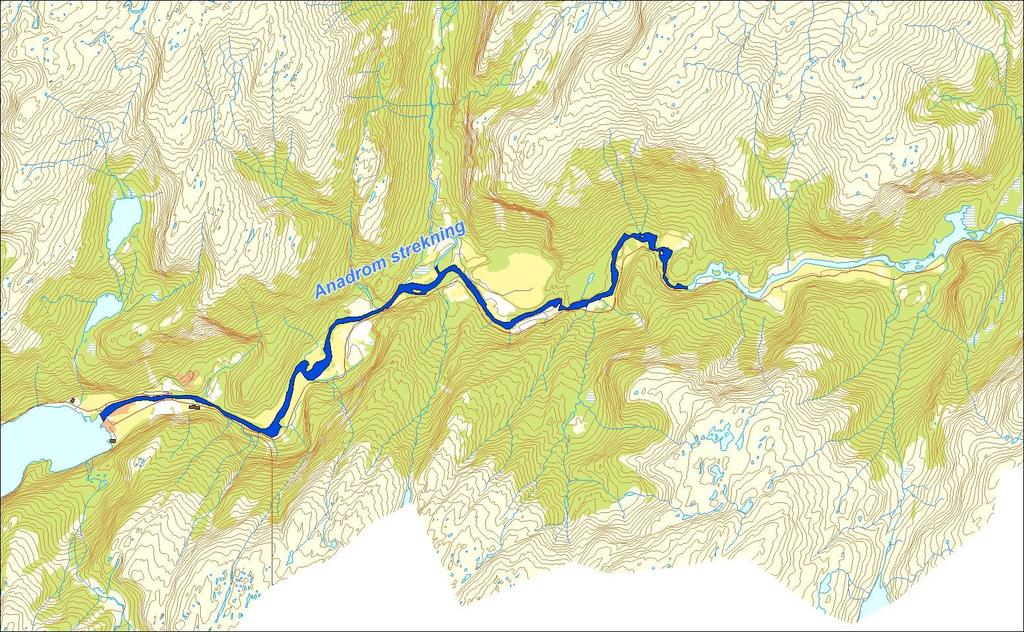 Utløpskommune Modalen Anadrome innsjøer Nei Anadrom strekning (km) 8.