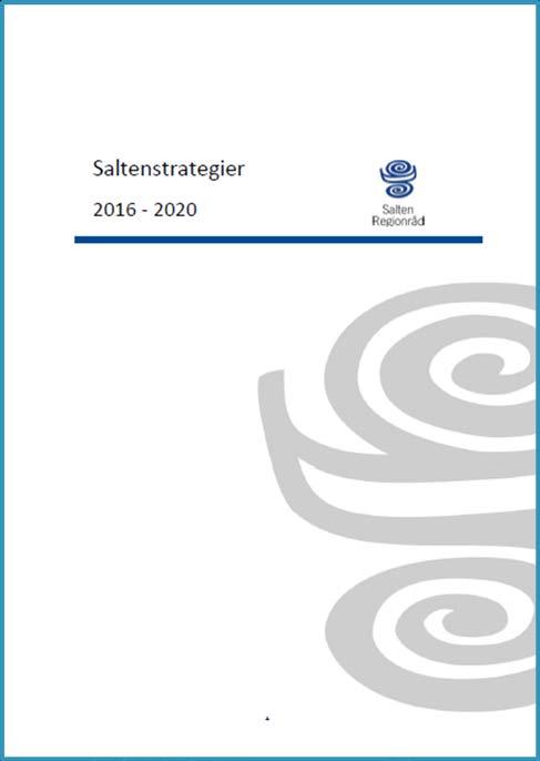 Saltenstrategier 2016-2020 Vi skal skape verdier som bidrar til trivsel og velferd i Salten og nasjonalt, ved å være en attraktiv og konkurransekraftig region i vekst.