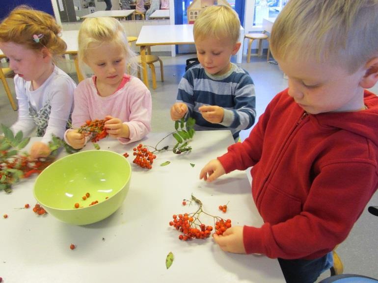 Vi har studert høsttegn og undret oss over hva som skjer i naturen når det blir høst.