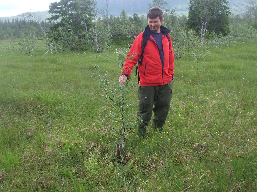 Bilder For at en lettere skal kunne se utviklingen til lokaliteten er det viktig å ta bilder som er