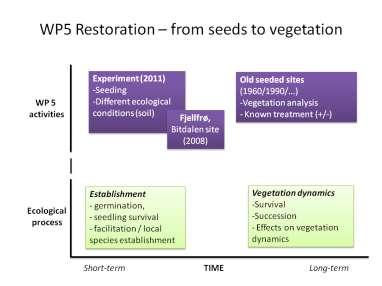 WP 5: From seeds to vegetation Dagmar Hagen (NINA), Knut Rydgren (Høgskolen i Sogn og Fjordane), Line Rosef (UMB) and Bård Pedersen (NINA) International partner: Ása L.