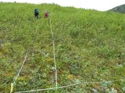 DCA 2 Spoil heaps (old seeded sites) In 2011 we collected data on vegetation variation (vascular plants, bryophytes and lichens) and environmental factors from five spoil heaps situated in Hemsedal,