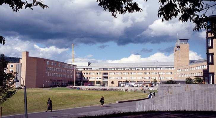 sykdom eller somatiske symptomer Hovedgrupper: Kreft, hjerte/lungesyke, medfødte misdannelser,