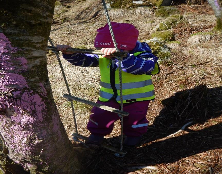 På barnehagens turområde (lavvoplassen)finnes det mye