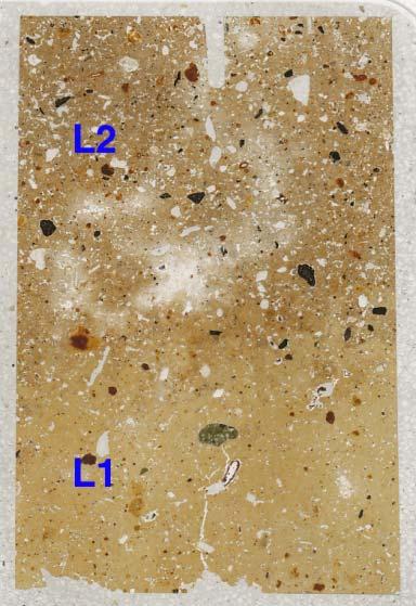 Fig. 12: Bamble, Mound 2: scan of M9287C, with pale minerogenic silt loam