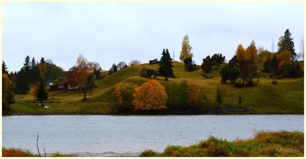 Hvordan Nes kommune jobber med