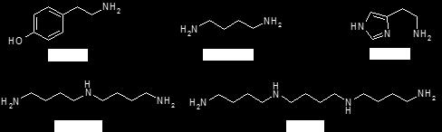 21 (vii) Ion-par-kromatografi (3.5.2.7.) Eksempel : Biogene aminer og polyaminer : 10 mm oktansulfonat i vann-acetonitril-gradient (ph 5-4,7 (ca.