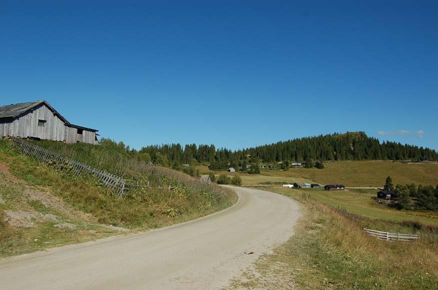 Figur 2 Typisk landskapsbilde for Fåvangfjellet; beitemark i nedkant og