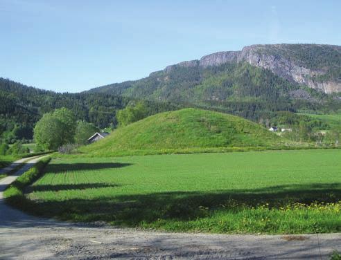 4 4. Presentasjon av området 4.1 Grong kommune, Nord-Trøndelag Grong kommune hadde ved årsskiftet 2009/2010 et innbyggertall på 2 361. Det har vært nedgang i folketallet siden 1999 da den 1.