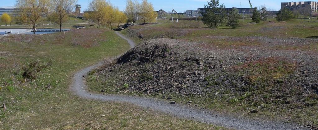 parklind eller storlind), lønn (kun spisslønn, Acer platanoides) og eik (Quercus robur).