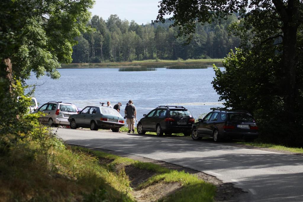 Årsrapport for Gjennestadvannet 2012 Totalt ble det registrert 144 arter hvor 4 var nye for området, nemlig: ærfugl, svartstork, svarthalespove og lappspove.