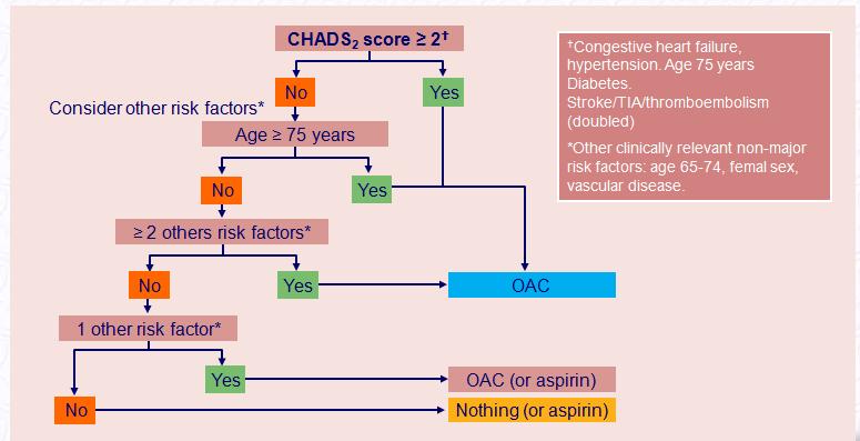 CHADS 2 - CHA 2 DS 2 -VASc Mekaniske hjerteventiler