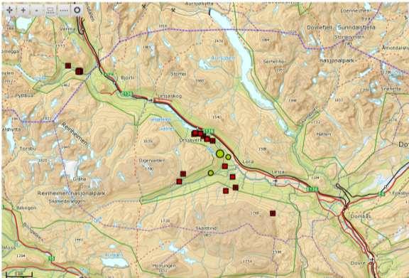 Figur 2. Kart over påviste ulveskader pr 16.08.2012 i Rovbase. Grønne sirkler inneholder flere kadaver. Det er 61 påviste skader i Oppland. 5.