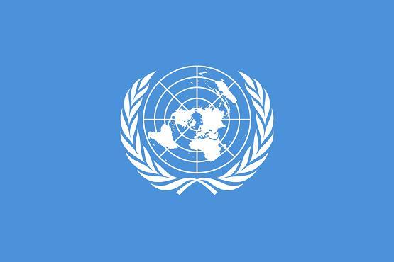 Mandat Metode FNs konvensjon mot tortur og umenneskelig behandling eller straff + UN OPCAT Sivilombudsmannsloven