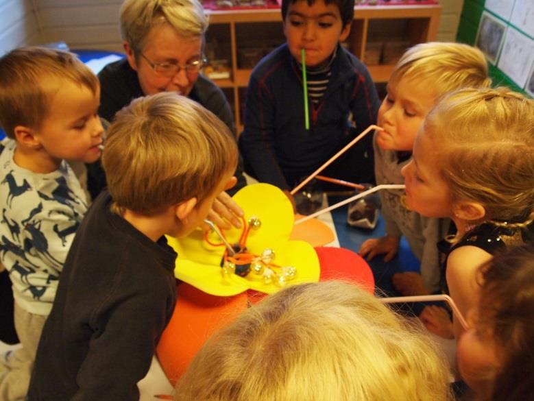 Humla. Undringa over humla og dens liv fortsetter. Det ble et spennende møte med biologene fra Høgskolen i Nesna.