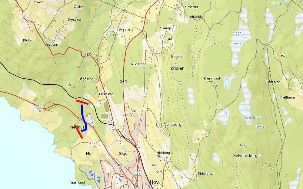 Lokalitet: Minnelva (Lauselva) Kommune: Søndre Land Dato: 2.10.2010 Undersøkt av: Geir Høitomt Beliggenhet: Minnelva renner ut i Randsfjorden fra øst, ca.