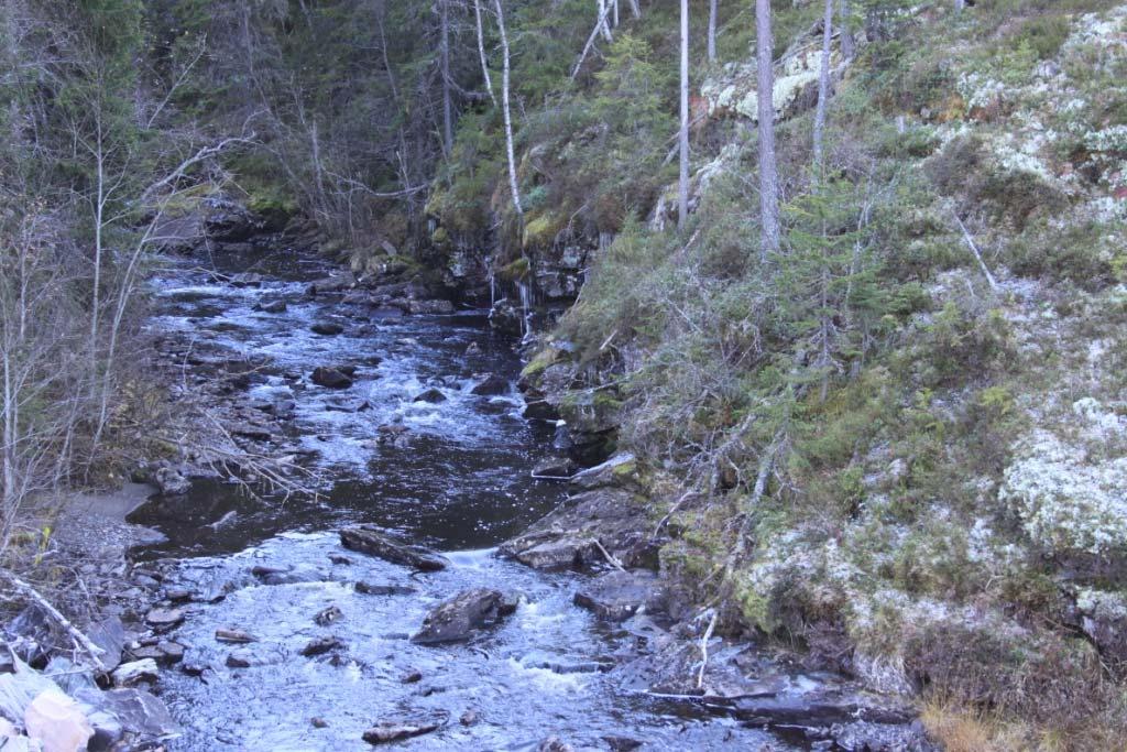 2010 Undersøkt av: Geir Høitomt Beliggenhet: lokaliteten ligger rett oppstrøms fossen som dannes i Fallselva på Brennabakka.