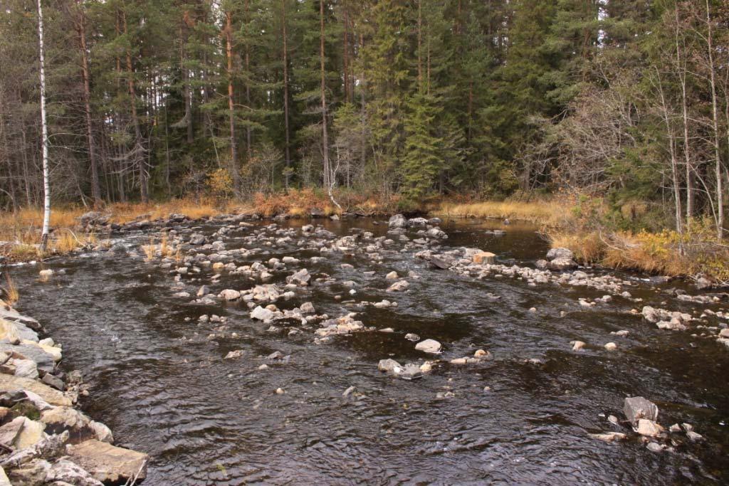 2010 Undersøkt av: Geir Høitomt Beliggenhet: lokaliteten ligger mellom Brennabakka og Skrankefløyta.