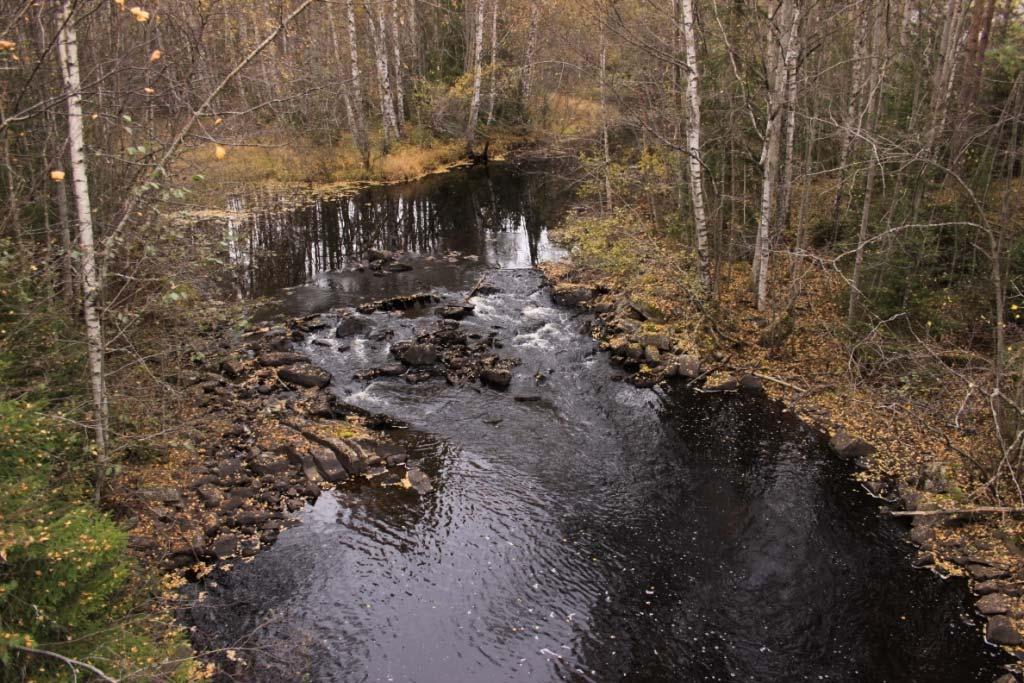 2010 Undersøkt av: Geir Høitomt Beliggenhet: lokaliteten ligger der jernbanelinja krysser Fallselva UTM: 32V NN 7505 2759 Beskrivelse: flat