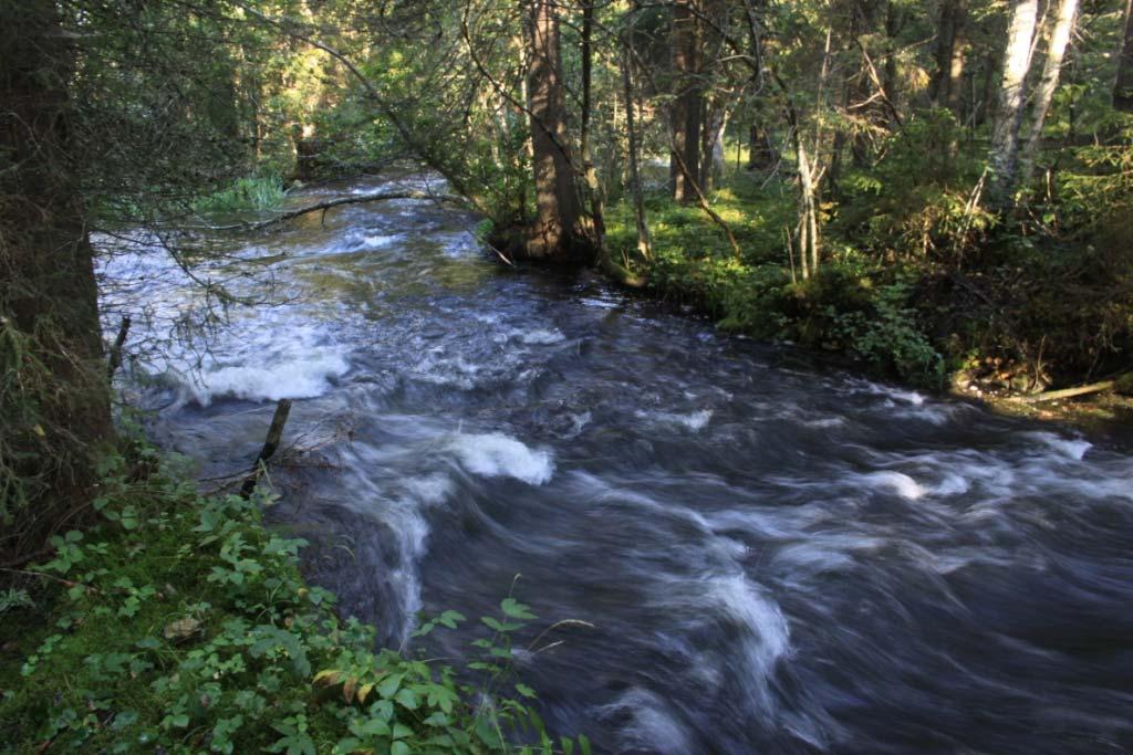 Foto: Geir Høitomt   Foto: