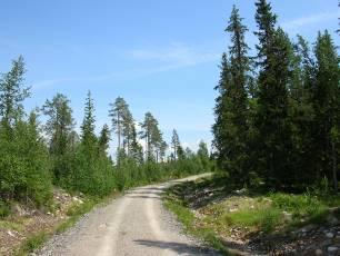 Skogsveger Nybygging Nybyggingsaktiviteten for skogsbilveger fortsetter å gå ned! I 2006 ble det ferdigbygd 2725 meter ny skogsbilveg. Det er ca.