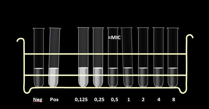 resistent ref.stamme Sensitiv: E. coli ATCC 25922 eller P. aeruginosa ATCC 27853 Resistent: E.