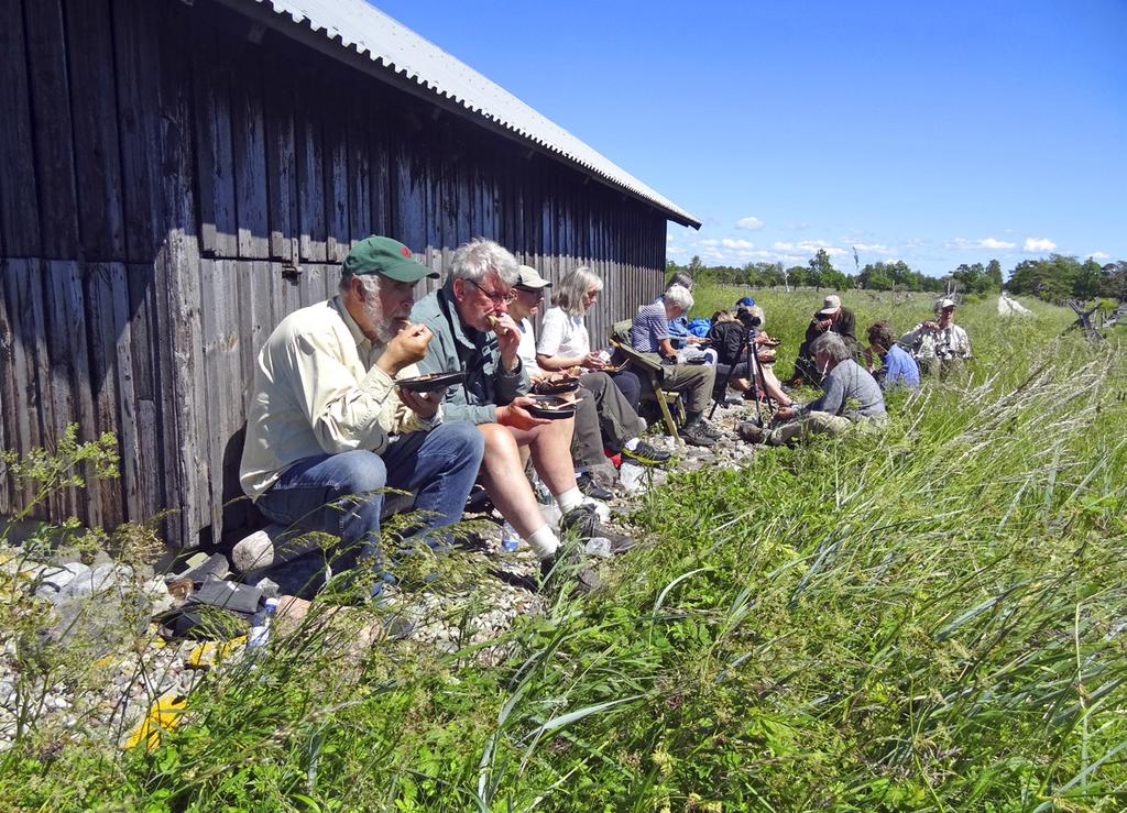 Klase/Snoderviken Turen gikk videre sørover, og første stopp etter Klintehamn var Klase og Snoderviken. Gotland har mange spennende viker og bukter med våtmarker og mudderflater.