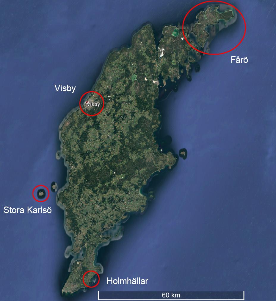 Introduksjon Gotland er Sveriges største øy ( 3 183 km 2 ), og tilbyr fugleopplevelser hele året.