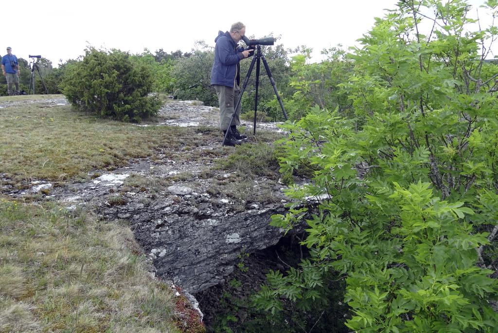 Naturens eget kunstverk.