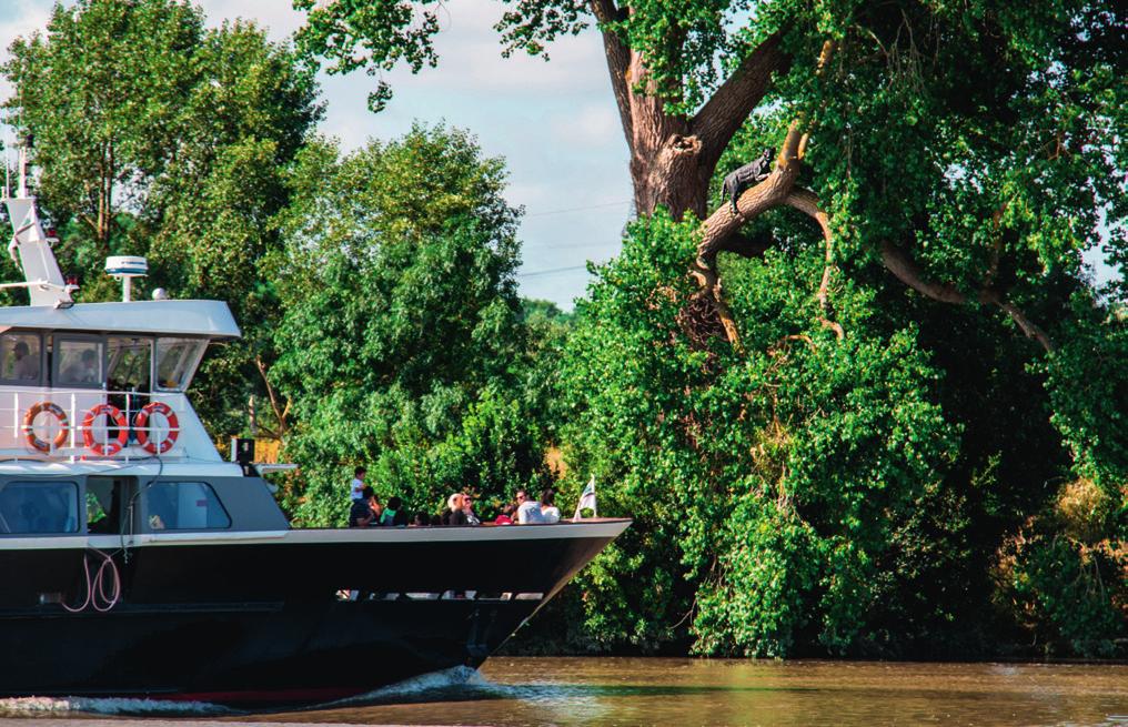 ADRIEN PASQUIER DEPARTING FROM SAINT-NAZAIRE SAINT-NAZAIRE > NANTES (one-way trip) Departure from Saint-Nazaire, a port and martime city and discover our gentle and poetic estuary.